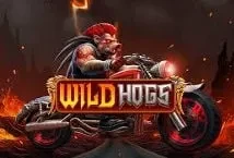 Wild Hogs (StakeLogic)