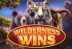 Wilderness Wins (Dragon Gaming)