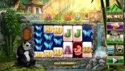 Panda Money Megaways