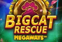 Big Cat Rescue Megaways (Red Tiger Gaming)