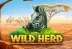 Wild Herd (G.Games)