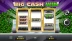 Big Cash Win (Rival Gaming)