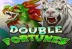 Double Fortunes (Spadegaming)