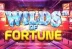 Wilds of Fortune (Betsoft)