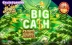 Big Cash Super Wheel (StakeLogic)