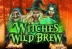 Witches Wild Brew (Booming Games)