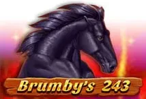 Brumby&#039;s 243 (1spin4win)
