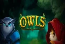 Owls (Nolimit City)