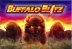 Buffalo Blitz (Playtech)