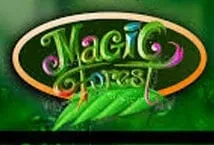 Magic Forest
