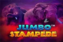 Jumbo Stampede (iSoftBet)