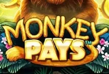 Monkey Pays (Skywind Group)