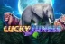 Lucky Jungle (Skywind Group)