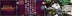 Pixel Samurai (Playtech)