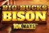 Big Bucks Bison 10K Ways (ReelPlay)