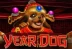 Year of the Dog (Genesis)