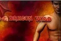 Red Dragon Wild (iSoftBet)