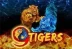 9 Tigers (Wazdan)