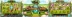 Enchanted Crystals (Play&#039;n GO)
