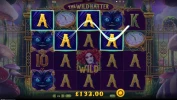 The Wild Hatter