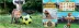 Foxin&#039; Wins Football Fever (NextGen Gaming)
