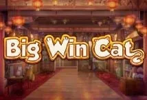 Big Win Cat (Play&#039;n GO)