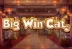 Big Win Cat (Play&#039;n GO)
