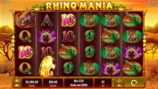 Rhino Mania