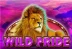 Wild Pride (Booming Games)