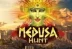 Medusa Hunt (Red Rake Gaming)