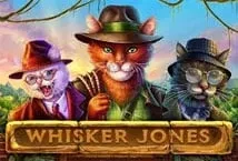 Whisker Jones (1X2gaming)