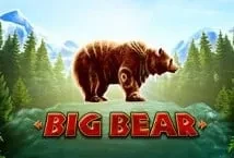 Big Bear (Playtech)