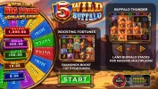 5 Wild Buffalo