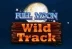 Full Moon Wild Track (Playtech)