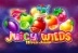 Juicy Wilds (Felix Gaming)