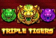 Triple Tigers (Pragmatic Play)
