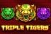 Triple Tigers (Pragmatic Play)