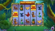 Mad Monkey