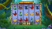 Mad Monkey