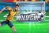 Wild Cup (Skywind Group)