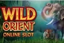 Wild Orient (Microgaming)