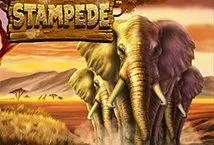 Stampede (Betsoft)