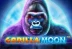 Gorilla Moon (Skywind Group)