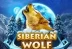 Siberian Wolf (Red Rake Gaming)