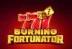 Burning Fortunator (Playson)