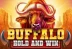 Buffalo Hold and Win (Booming Games)