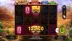Buffalo Hold and Win (Booming Games)