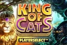 King of Cats (Big Time Gaming)