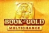 Book of Gold Multichance (Playson)