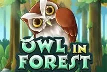 Owl In Forest (KA Gaming)